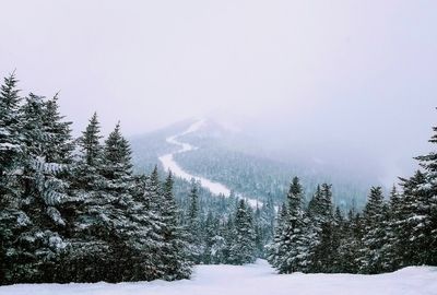 Covid packs far less punch in Vermont