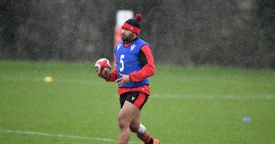 Wales rugby team news as Willis Halaholo battles problem and Ross Moriarty trains for Ireland clash