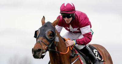 Tiger Roll among entries for Grand National at Aintree