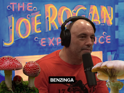 Psychedelic Joe Rogan Is Back!