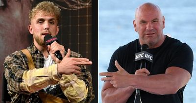Jake Paul wants to overthrow UFC president Dana White amid furious row