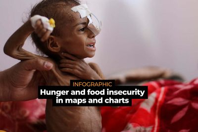 Infographic: Hunger and food insecurity in maps and charts