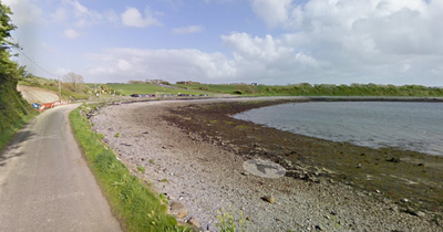 Gardai investigating after man exposes himself in broad daylight at popular Galway park