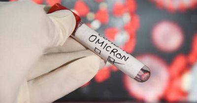Covid-19: New 'stealth Omicron' subvariant detected in Ireland