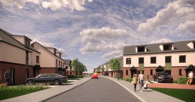 Plans submitted for 107 new homes near Chester-le-Street in County Durham