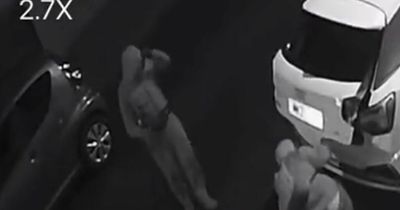 Nightcrawler with huge builder's bum caught stealing from car on CCTV