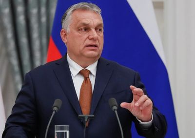 Hungarian PM seeks gas deal with Putin amid Ukraine tensions