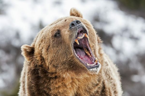 Wall Street is Bearish on These 3 Oil & Gas Stocks