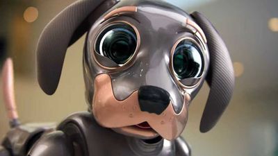 Kia Super Bowl Teasers Pull Our Heartstrings With Wide-Eyed Robo Dog