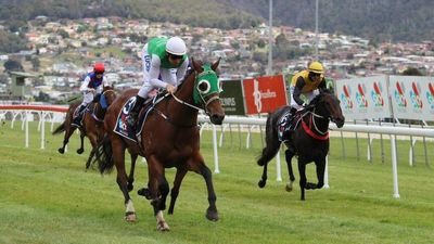 RSPCA fears Tasmania's racing regulations review will 'bury' animal welfare concerns