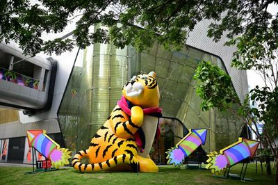 Capture a glimpse of tigers at Central Embassy