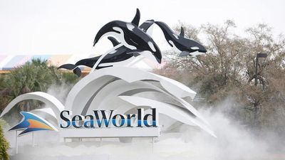SeaWorld Offers to Buy Cedar Fair: Can The Struggling Theme Parks Take on Disney and Universal?