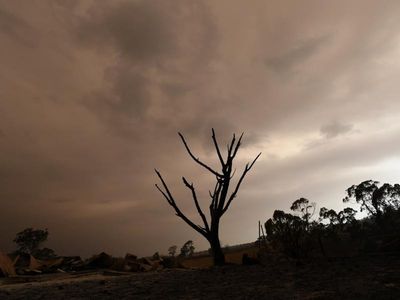 Grassfire in regional Vic under control