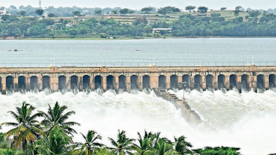 Karnataka set to oppose river-linking scheme