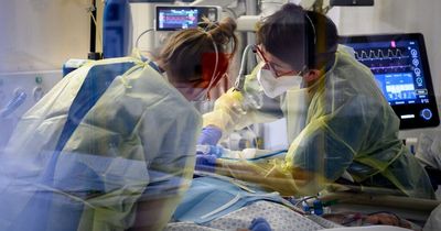 The Covid situation in hospitals across Wales right now