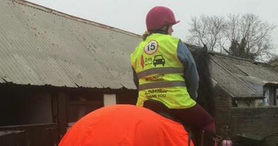 Horse rider 'upset and scared' after Audi driver drove at and shouted abuse at them
