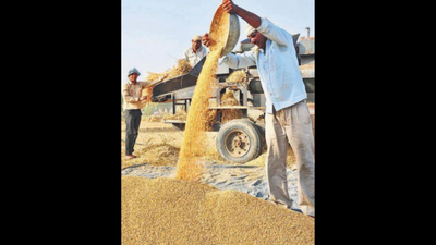 Rajasthan: Agricultural universities revising courses in tune with FM announcement