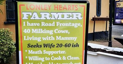 Irish pub looking for help a lonely farmer find love with cheeky ad ahead of Valentine's Day