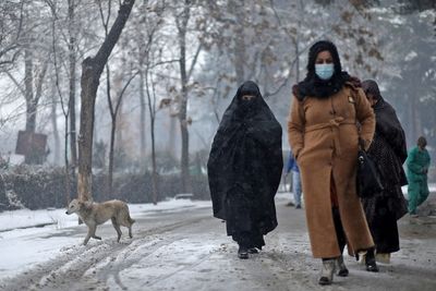 Female students join male peers as Afghan universities reopen