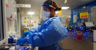 Covid is now not significantly more dangerous than flu in UK, figures suggest