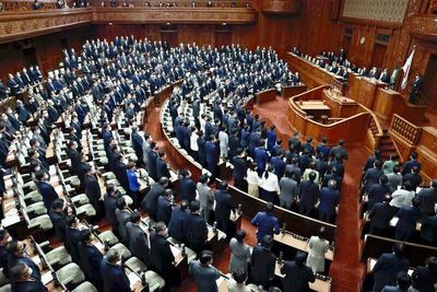 Lower house passes resolution on human rights concerns, with China in mind