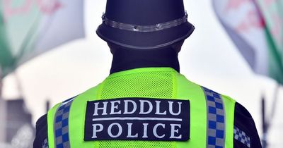 The amount people pay to South Wales Police could rise for some households next year