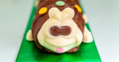 Marks and Spencer and Aldi finally settle Colin the Caterpillar cake copyright row