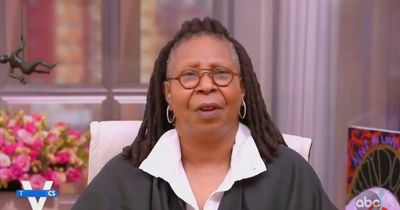 Whoopi Goldberg slammed for claiming the Holocaust 'was not about race' because it involved 'two groups of white people'