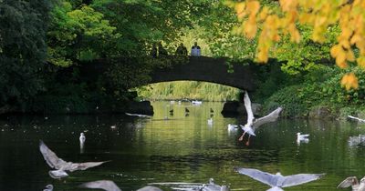 Woman in hospital after assault in broad daylight in St Stephen's Green as gardai launch probe