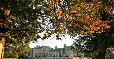 Raby Castle in County Durham starts work on new adventure playground in Forest