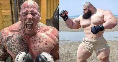 Martyn Ford vs Iranian Hulk fight rules including rounds, gloves and scoring