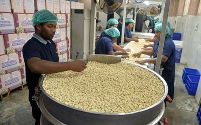 Cashew sector disappointed with Budget