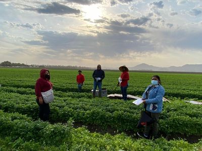 Amid pandemic, Indigenous Mexican workers in US fight to be heard