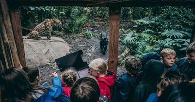Chester Zoo is letting school kids visit for FREE