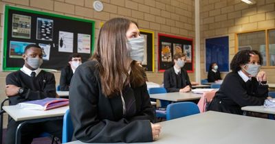 Scottish Government plan to fight covid by chopping off the bottom of classroom doors