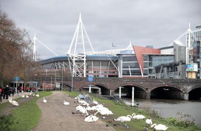 Welsh Rugby Union decides to close bars at half-time in bid to curb disorder