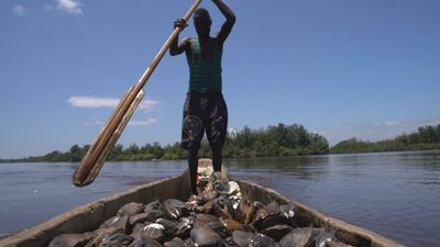 DR Congo's Mangroves National Park: Preserving a wetland of international importance