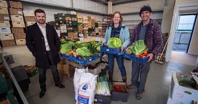 Veg box delivery inspired couple to take on North Wales business