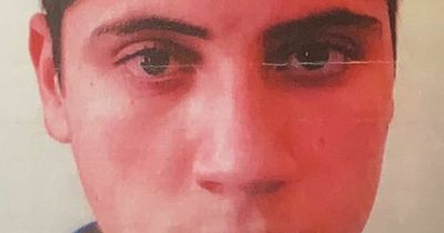 Gardai seeking help in tracing missing Dublin teen Arab Al-Mesto