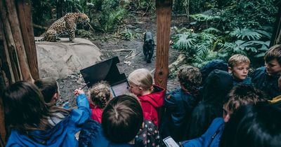 Chester Zoo giving away 30,000 free tickets to school children