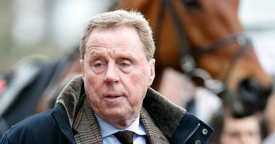 Ex-Spurs boss Harry Redknapp insists there's value in non-league amid Ollie Tanner talks