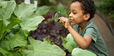 Curious Kids: what do plants do all day?