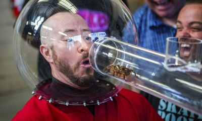 Jackass Forever review – unstoppable comedy stunt show still has a sting in its tail