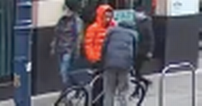 Dublin pubs: Pair caught on camera taking bike from Temple Bar as popular city pub pleads for return