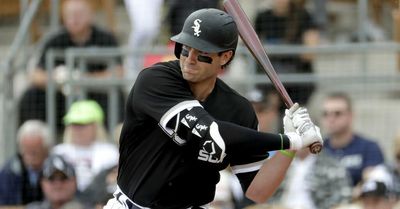 Nicky Delmonico rejoins White Sox as minor league hitting coach