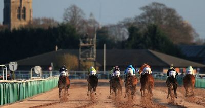Newsboy's racing tips and nap from Thursday's meetings at Southwell, Wincanton and more