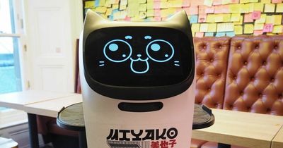 Edinburgh Japanese restaurant introduces 'Miyako the robot waiter' to serve customers