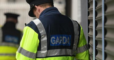 Pair arrested as gardai find stolen guns after car smashes into pole in Kildare