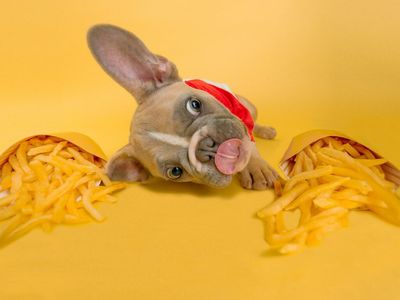 Benzinga Asks: Would You Eat At McDonald's More Often If It Accepts Dogecoin?