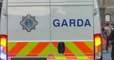 Two arrested as gardai seize stolen shotguns after car crashes following short chase in Kildare